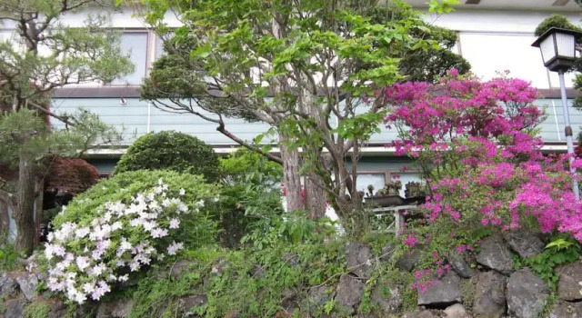 Asagiri-so, Prenota Hotel Karuizawa 