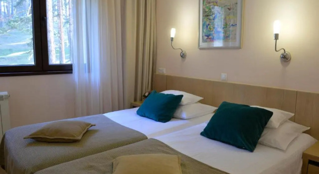 Двухместный номер Standard Dunav Turist Inn