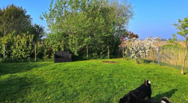 Коттедж Ferienhaus Mia, Urlaub mit Hund, eingezäunter Garten, Friedrichskoog-Spitze