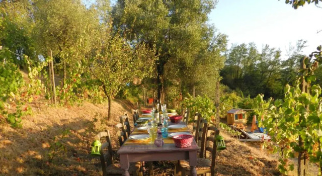 Agriturismo Cerrolungo