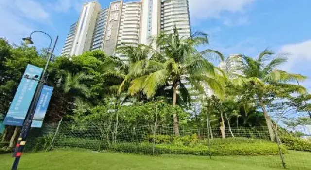 Qionghai Jinwan Anxin Kangyang Seaview Homestay