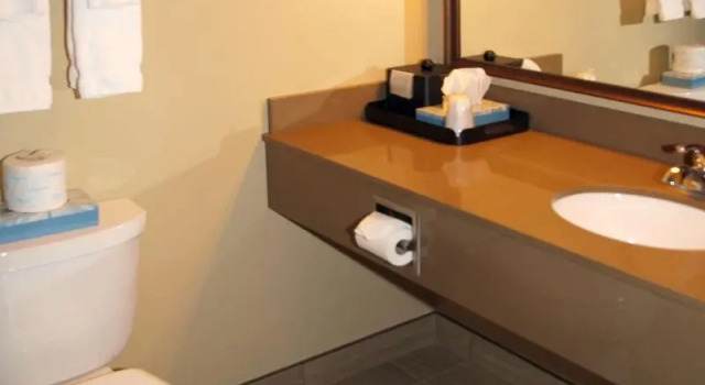 Номер Standard Best Western Plus Winnipeg West