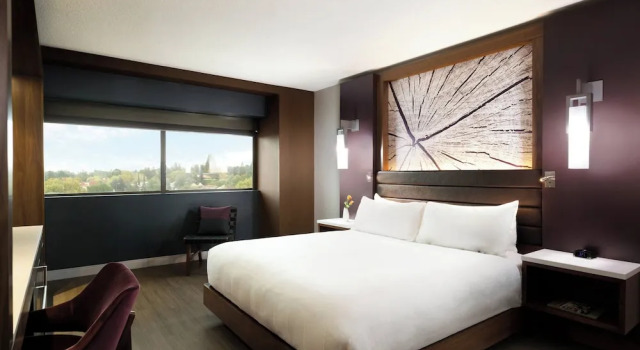 Номер Standard Walnut Creek Marriott