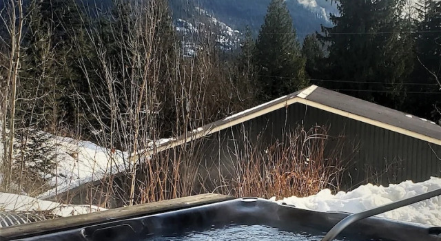 Номер Standard Stoke Cabin by Revelstoke Vacations