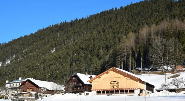 Apartment Obergruberhof, Buchen Sie Ferienwohnung Gleiming Schladming-Dachstein