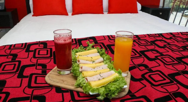 Одноместный номер Standard Hotel Plaza Ñuñoa