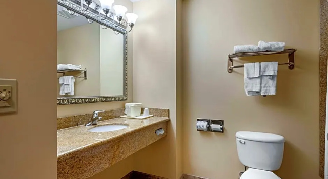 Двухместный люкс Quality Inn Smyrna