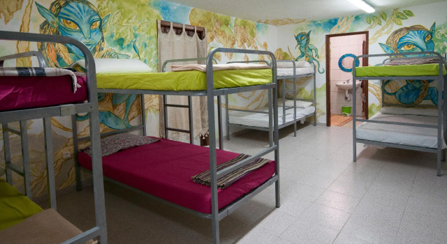 Кровать в общем номере Hostel Los Duendes del Sur