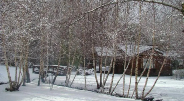 Бунгало Cabañas En el Corazón del Bosque