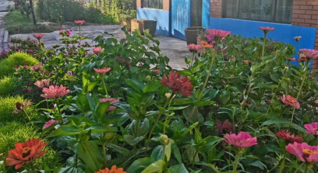Yining Guanjuli Homestay（Ili River Scenic Area Homestay）, Book Hotel Yining 