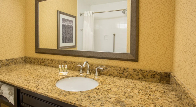 Двухместный номер Standard с видом на горы Holiday Inn Portland-Airport I-205 by IHG