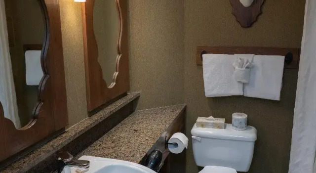 Двухместный номер Standard Banff Caribou Lodge and Spa