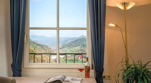 Номер Comfort Hotel Schloss Hornberg