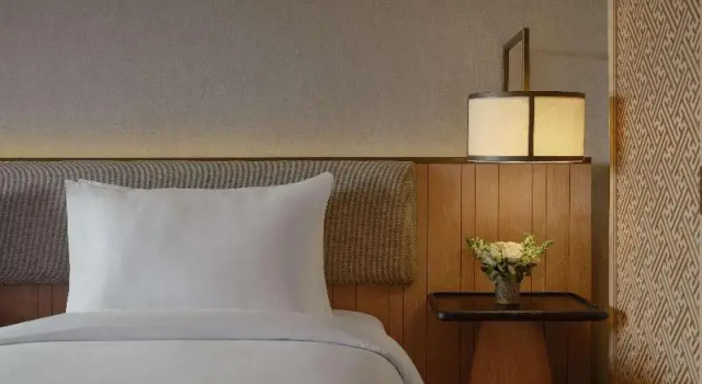 Номер Superior Novotel Bali Ubud Resort