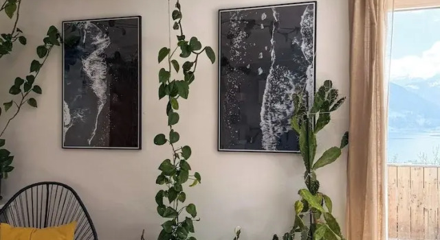 Апартаменты Comfort Wanna Rise Studio
