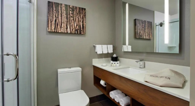 Двухместный гостевой номер Accessible Hilton Garden Inn New York/Midtown Park Avenue