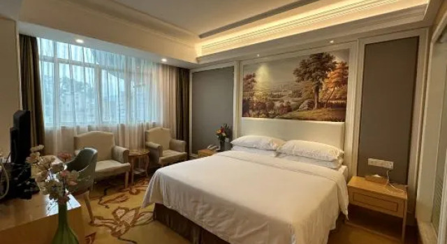 Люкс Business Vienna Hotel (Huizhou Qiuchang Yingbin Road)