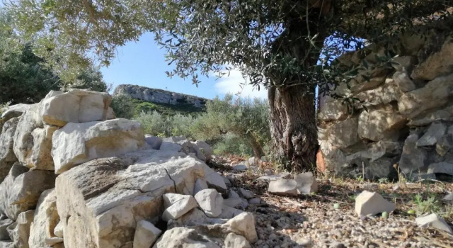 Casa Roca, Varaa Hotelli Perelló El Baix Ebre