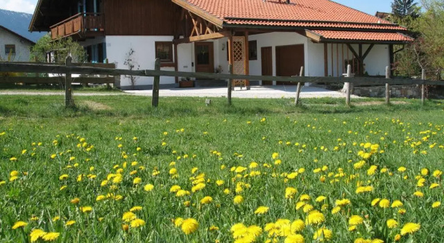 Апартаменты Haus Regina