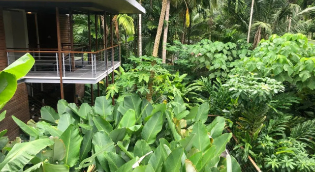 Tilar Siro Andamans - A CGH Earth Experience, Réserver Hôtel Havelock Island Andaman-et-Nicobar