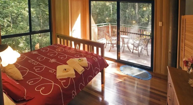 Номер Standard Springbrook Lyrebird Retreat