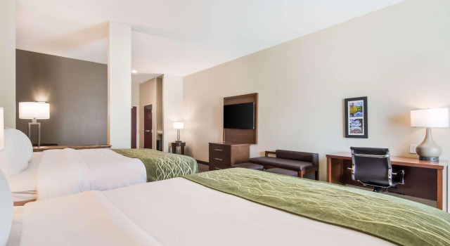Comfort Inn & Suites Rock Hill Northeast, Забронировать Отель Бизнес-отели Южной Каролины, 4* 5*