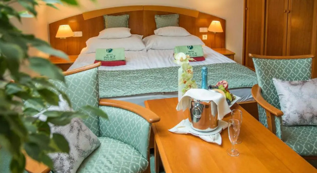 Двухместный номер Economy Palace Hotel Hévíz