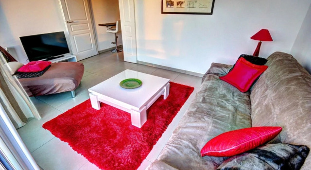 Studio in Cannes, With Wonderful Mountain View, Terrace and Wifi - 500