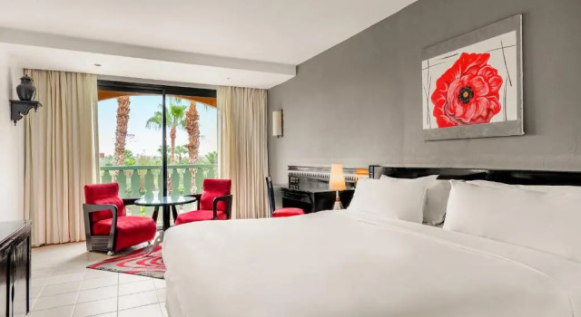 Двухместный номер Standard с видом на сад Le Meridien Nfis