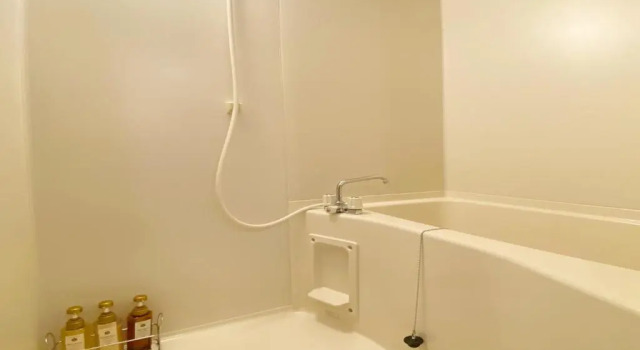 Номер Standard с видом на горы Hotel Gyokusen