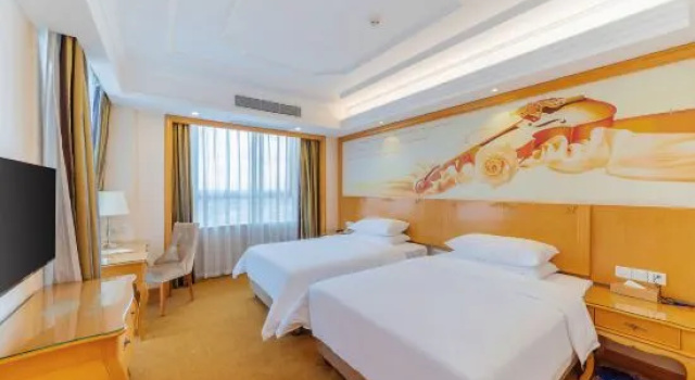 Люкс Deluxe Vienna Hotel (Foshan Lishui Diyicheng)
