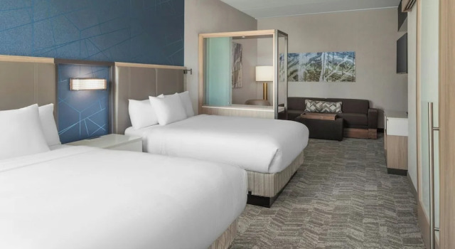 Четырёхместный люкс Springhill Suites By Marriott Raleigh Garner