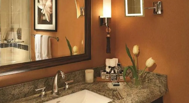 Номер Deluxe Fairmont Dallas