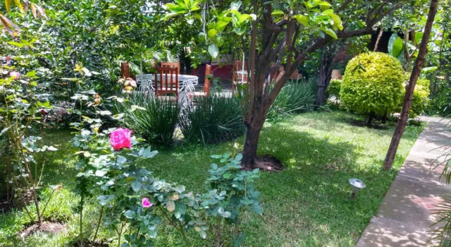Номер Standard Hotel Casa Pomarrosa