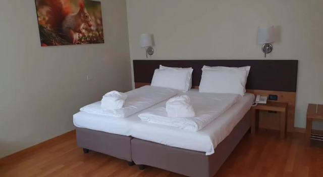 Трёхместный номер Standard Hotel Orso Grigio