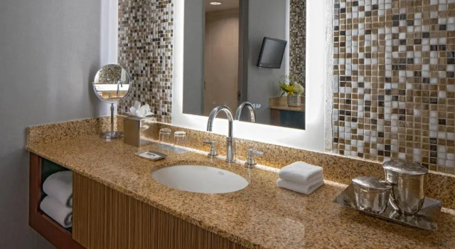 Двухместный номер Hyatt Regency Denver Tech Center