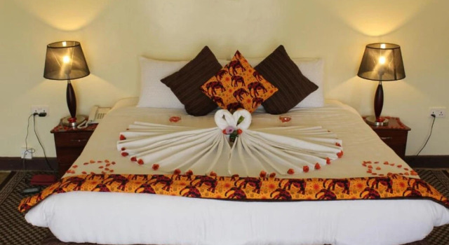 Двухместный номер Standard Da Vinci Gorilla Lodge