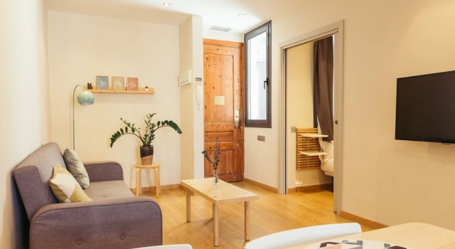 Апартаменты c 1 комнатой Casa Felipa Plaza España