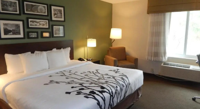 Номер Standard Sleep Inn & Suites Evergreen I-65