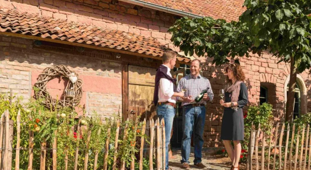 Номер Standard HEINRICHs winery bed & breakfast