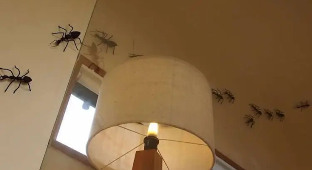Номер Standard Bangkok Tree House Bang Kachao