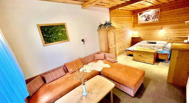 Студия Penzion Limba