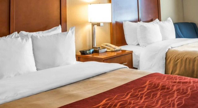 Четырёхместный номер Standard Comfort Inn Near Gila National Forest