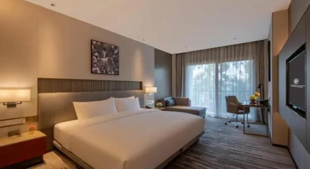 Люкс Deluxe Pullman Dongguan Forum