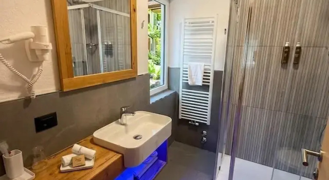 Номер Deluxe Hotel Villa Rosa