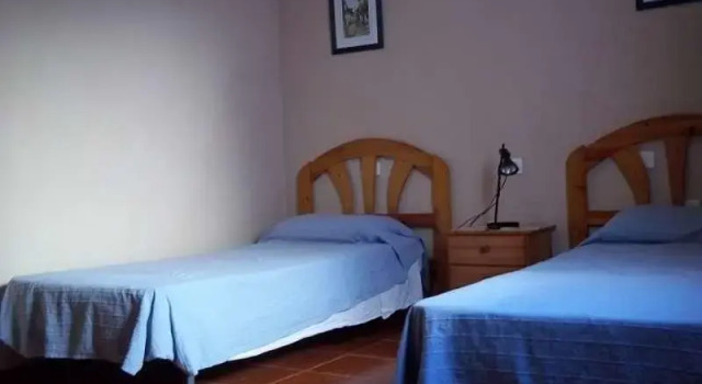 Dioon, Book Hotel Caleta de Sebo Lanzarote
