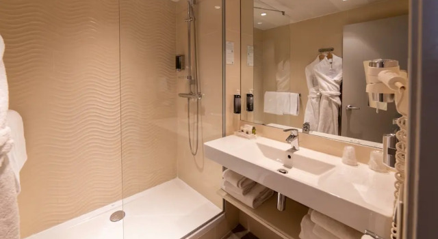 Номер Premium Holiday Inn Lyon Vaise by IHG