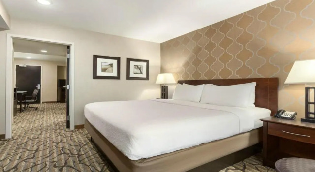 Люкс Holiday Inn Hotel & Suites Gateway by IHG