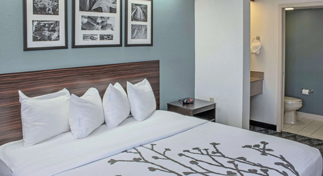 Standard- dobbelt værelse Sleep Inn Lake Wright