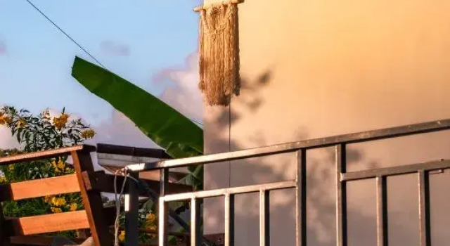 Deniz’s Modern Nature Retreat